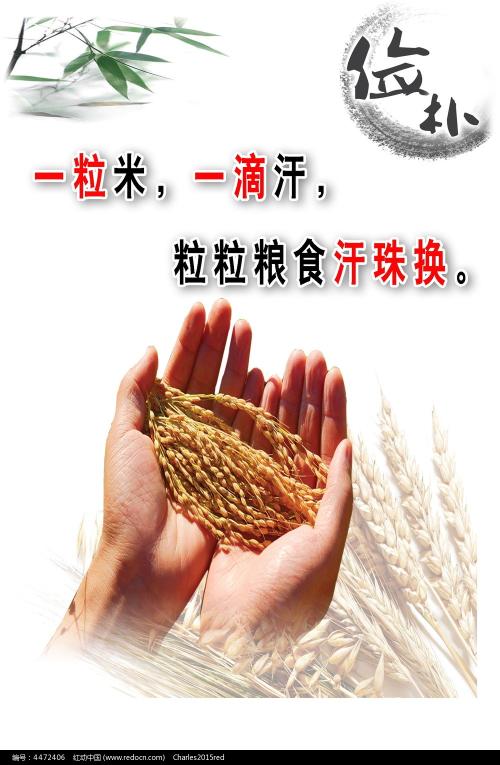 杰克逊维尔大学diploma
